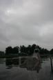 IMG 6784