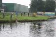 IMG 6789
