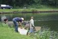 IMG 6808