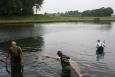 IMG 6820