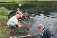 IMG 6828