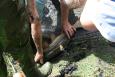 IMG 6909