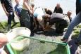 IMG 6936