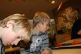IMG 3758