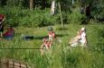 DSC 05890577