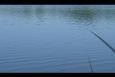 DSC00012.JPG